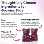 Elderberry Immune Support Gummies for Kids with Vitamin C & Zinc | Daily Immunity Support | 60 Count