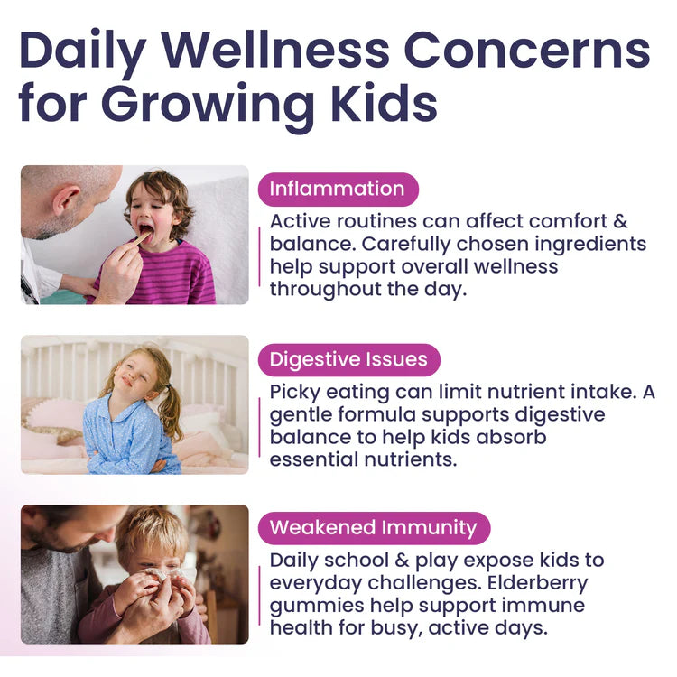 Elderberry Immune Support Gummies for Kids with Vitamin C & Zinc | Daily Immunity Support | 60 Count